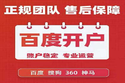SEM主管实战：案例分析与优化策略